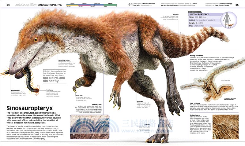 Knowledge Encyclopedia Dinosaur!