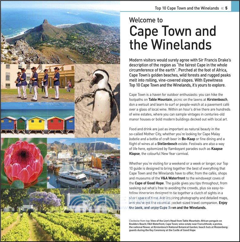 Dk Eyewitness Top 10 Cape Town and the Winelands