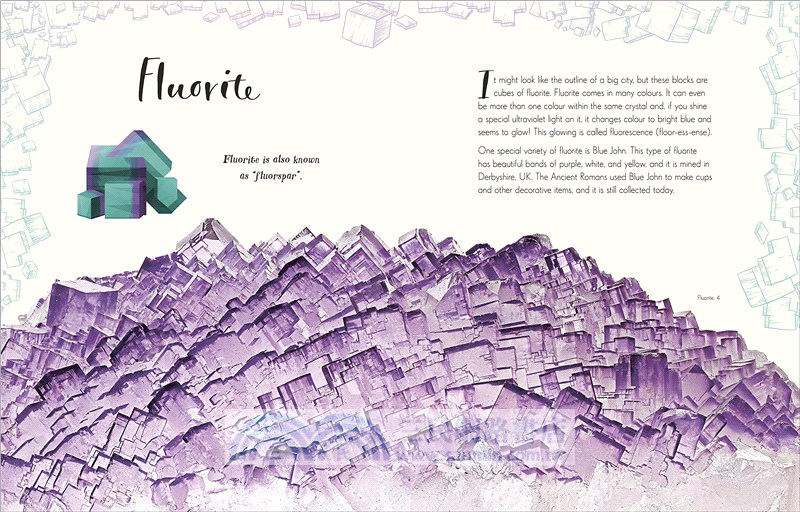 The Wonders of Nature