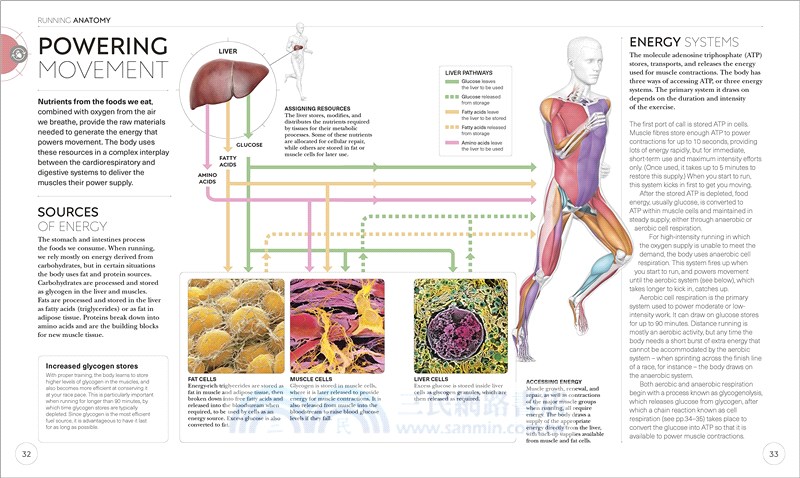 Science of Running: Analyse your Technique, Prevent Injury, Revolutionize your Training