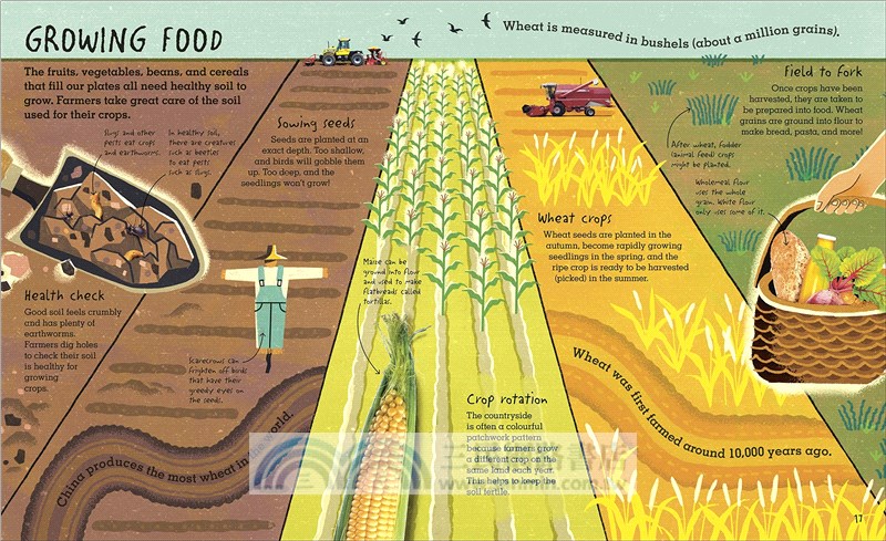 RHS Under Your Feet: Soil, Sand and other stuff