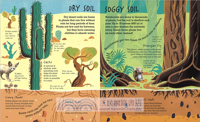 RHS Under Your Feet: Soil, Sand and other stuff