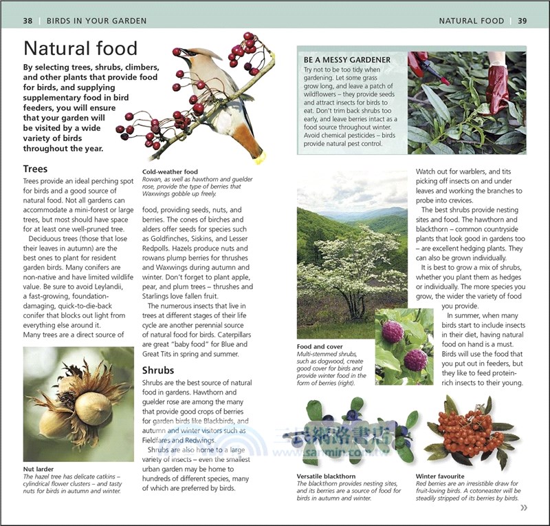 RSPB Pocket Garden Birdwatch