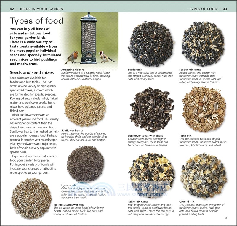 RSPB Pocket Garden Birdwatch