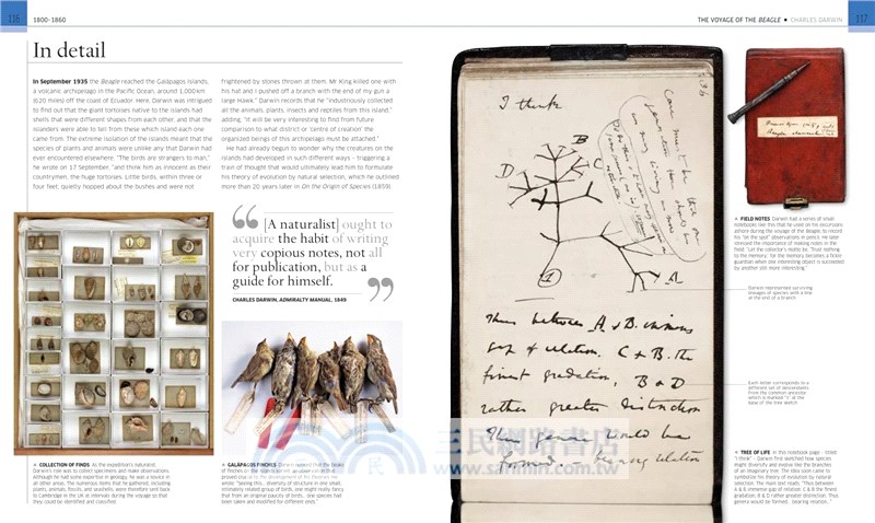 Great Diaries : The world's most remarkable diaries, journals, notebooks, and letters