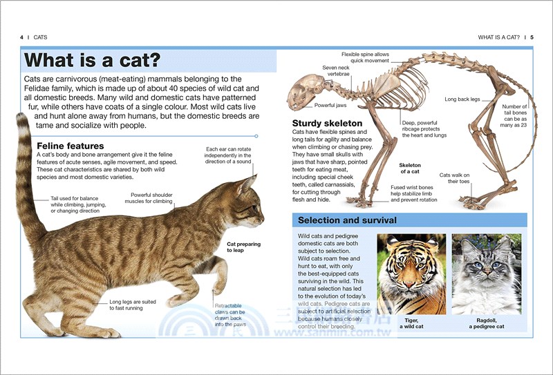 Cats: Facts at Your Fingertips (Pocket Eyewitness)