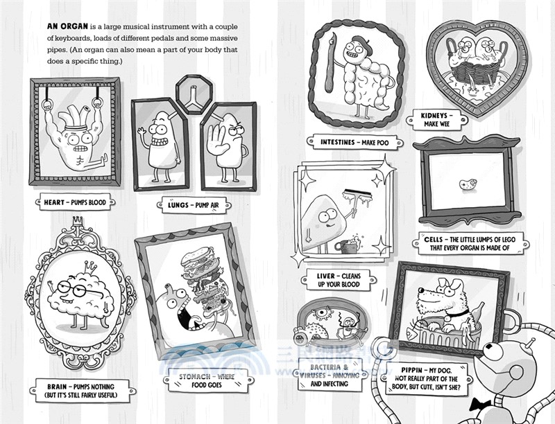 Kay's Anatomy: A Complete (and Completely Disgusting) Guide to the Human Body (Longlisted for Blue Peter Book Awards 2022)