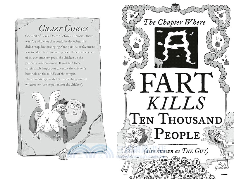 Kay's Marvellous Medicine: A Gross and Gruesome History of the Human Body