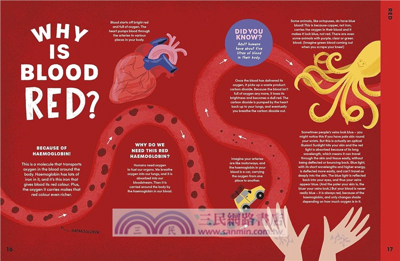 Can You Get Rainbows in Space?：A Colourful Compendium of Space and Science