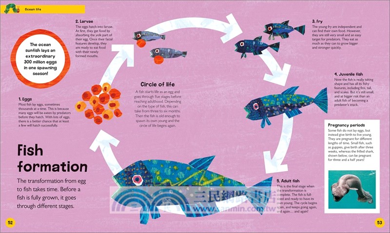The Very Hungry Caterpillar's Very First Ocean Encyclopedia：An Introduction to the Ocean, for Very Hungry Young Minds