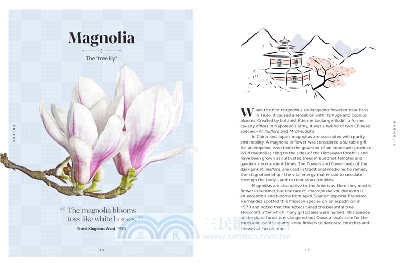 The Secret Language of Flowers