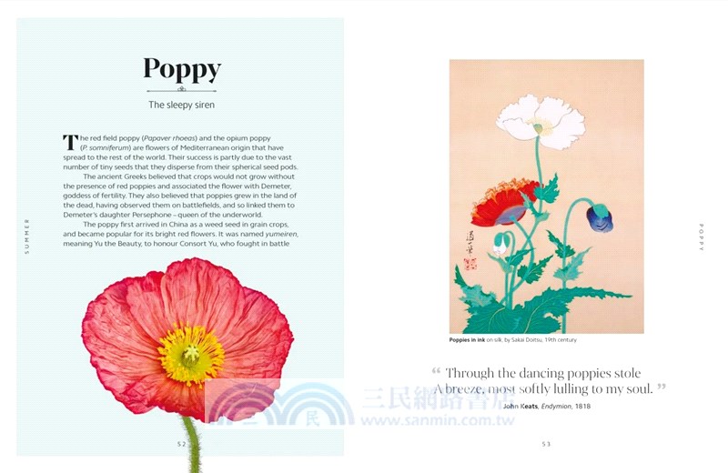 The Secret Language of Flowers