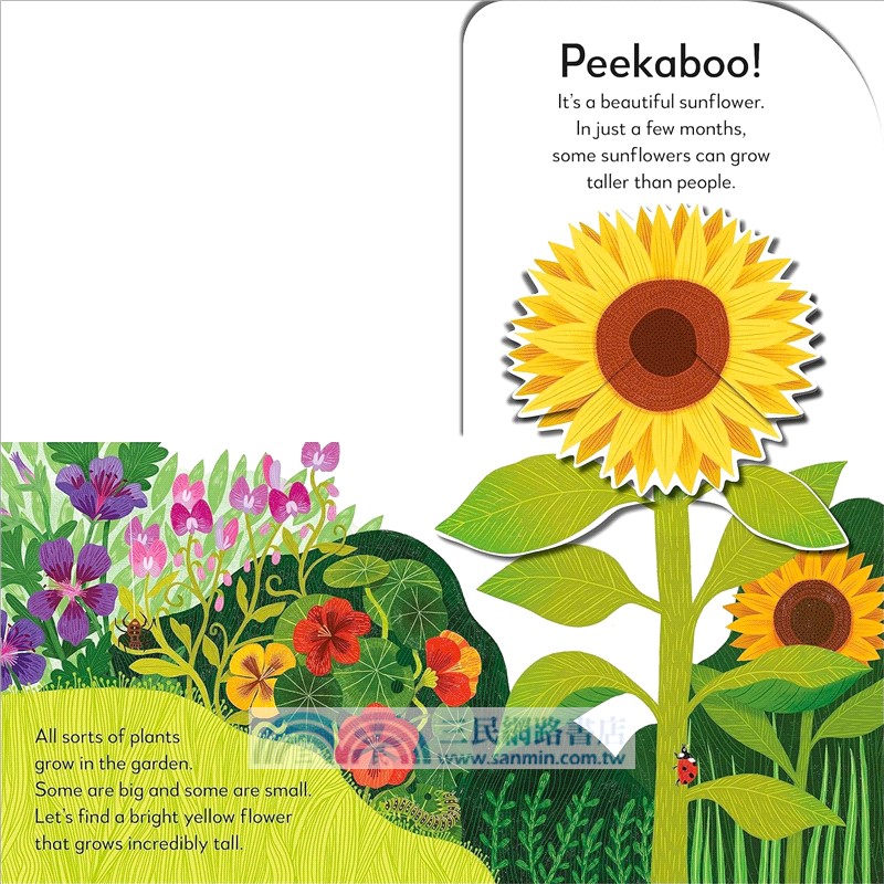 Pop-Up Peekaboo! Garden：Pop-Up Surprise Under Every Flap!