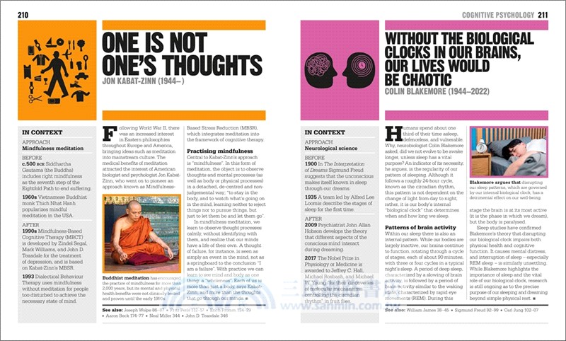 The Psychology Book：Big Ideas Simply Explained (英國版)