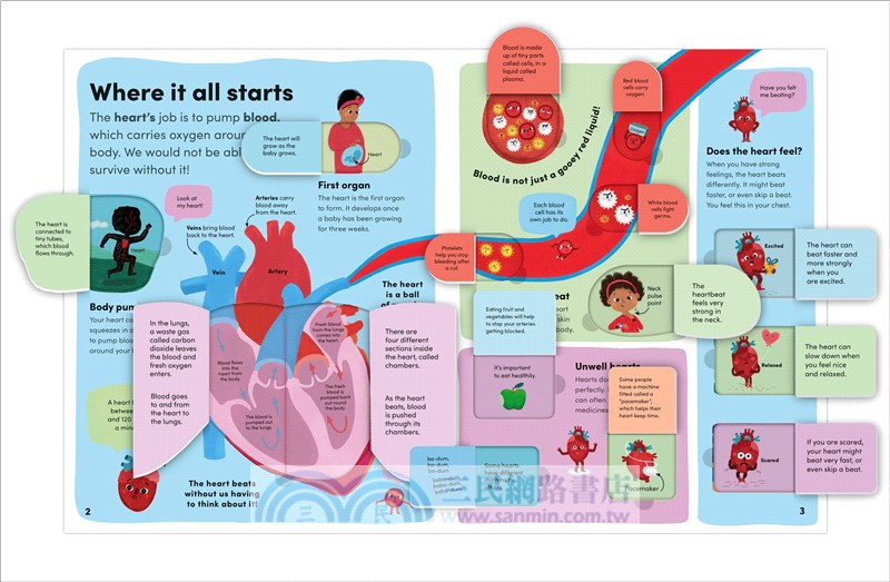 You and Your Body：A First Look Inside the Human Body (The British Book Awards)(英國版)