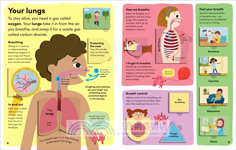 You and Your Body：A First Look Inside the Human Body (The British Book Awards)(英國版)