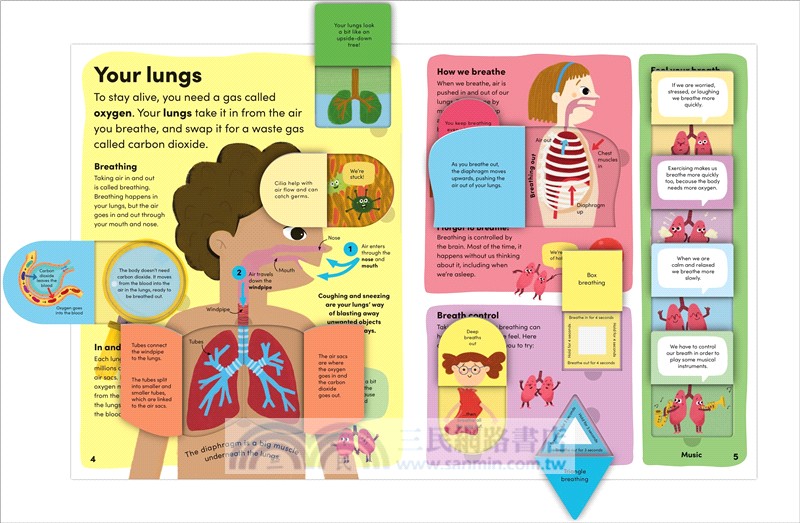 You and Your Body：A First Look Inside the Human Body (The British Book Awards)(英國版)