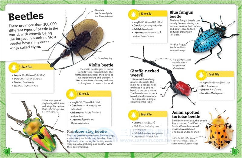 My Book of Bugs：A Fact-Filled Guide to the Insect World