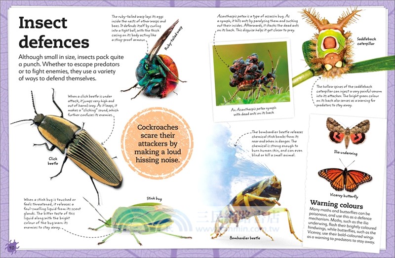 My Book of Bugs：A Fact-Filled Guide to the Insect World