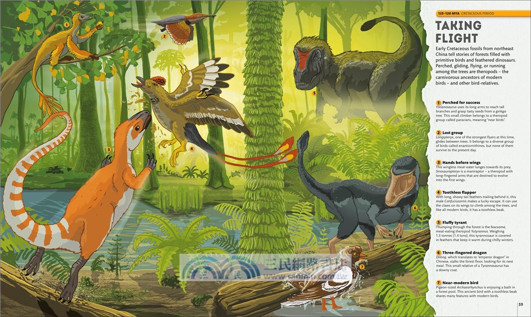 Planet Earth: A 4.5 Billion Year Story