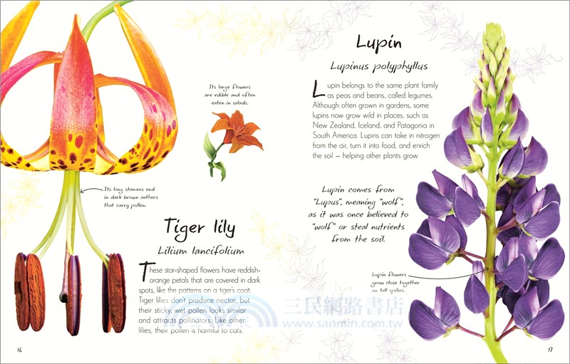 An Anthology of Flowers：A Collection of Flowers from Gardens, Woodlands, Mountains and More