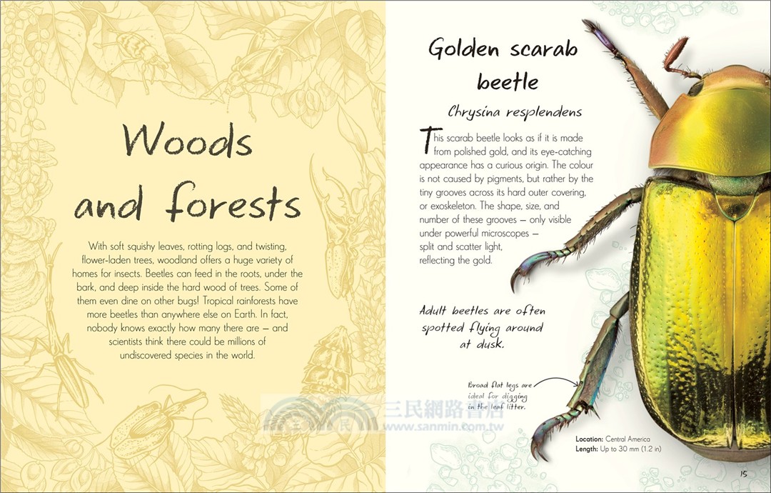 An Anthology of Beetles：A Collection of Brilliant Beetles from Around the World