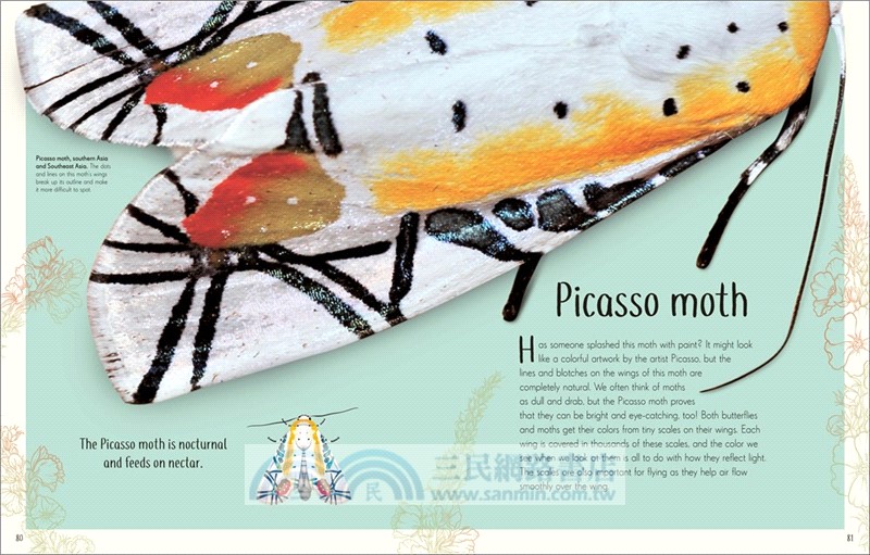 An Anthology of Remarkable Bugs (英國版)