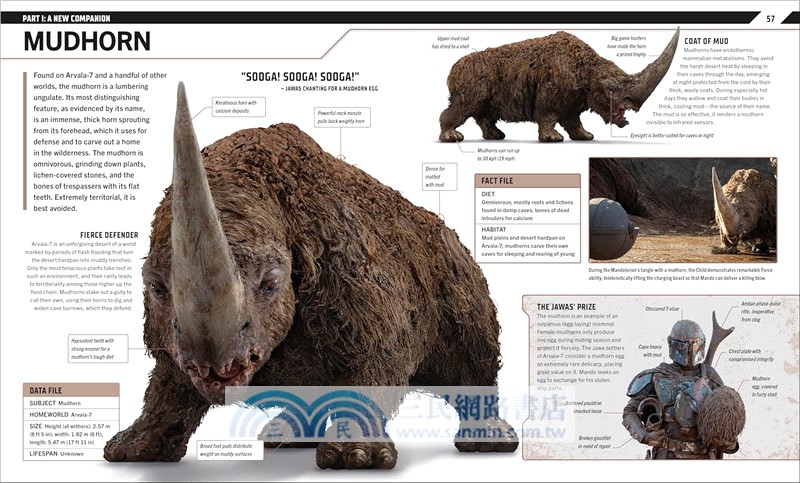 Star Wars The Mandalorian Visual Guide