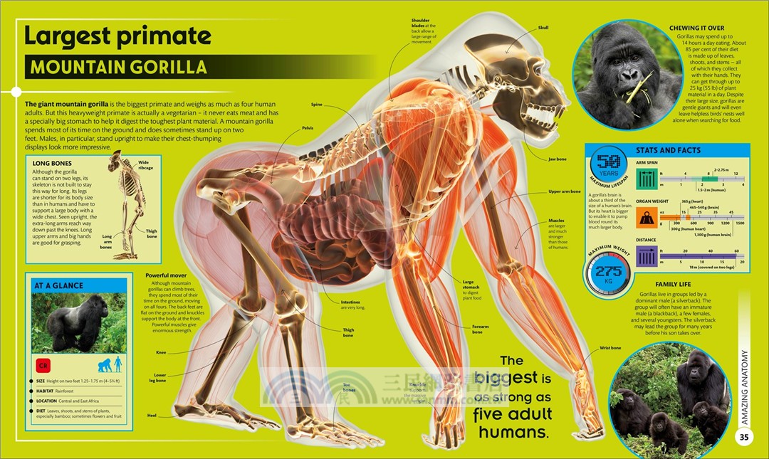 Super Nature：The 100 Biggest, Fastest, Deadliest Creatures on the Planet