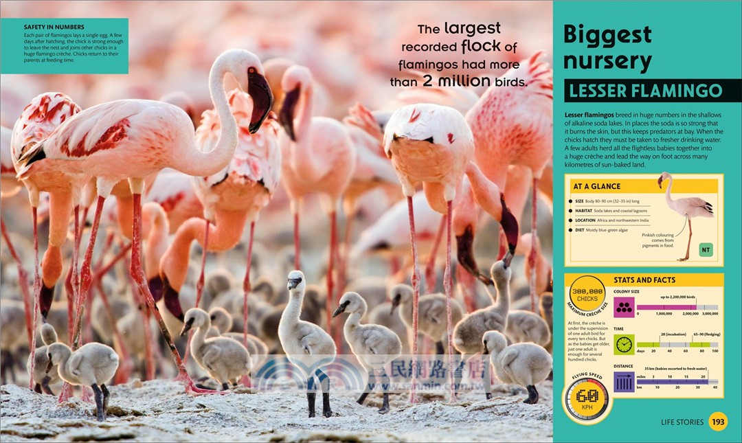 Super Nature：The 100 Biggest, Fastest, Deadliest Creatures on the Planet