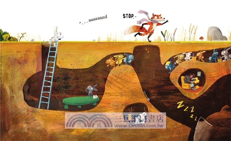 Down the Hole (Junior Library Guild Selection)