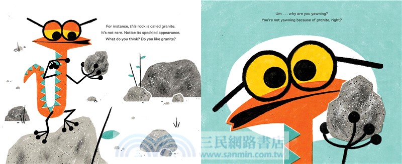 This Is Not a Christmas Book* (*This Is a Book About Rocks)