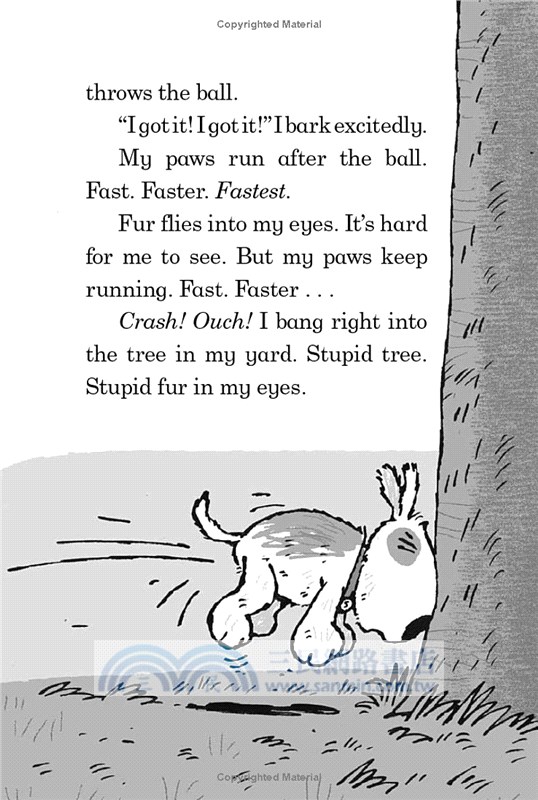 Go Fetch! (Magic Bone #5)