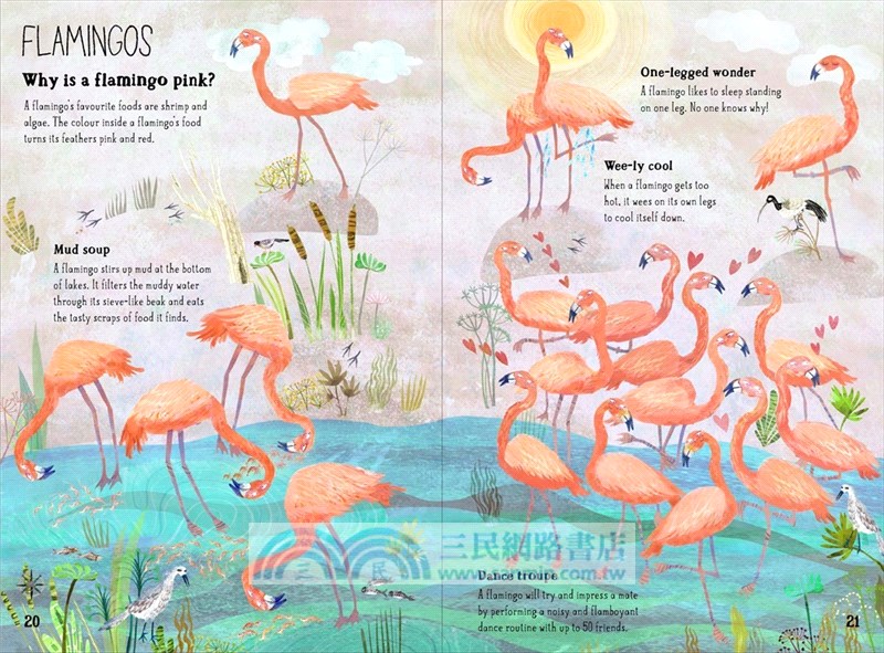The Big Book of Birds