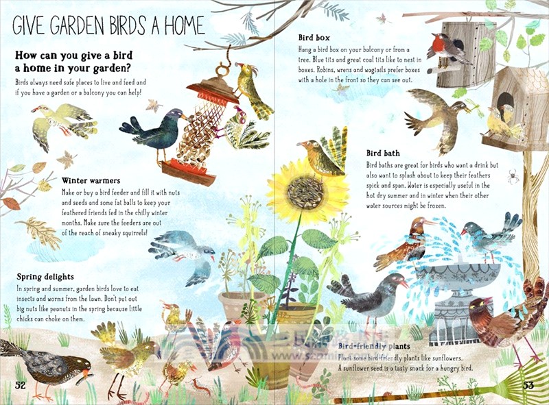 The Big Book of Birds