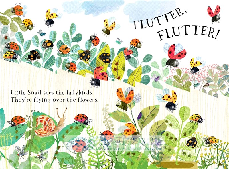 Little Snail's Book of Bugs