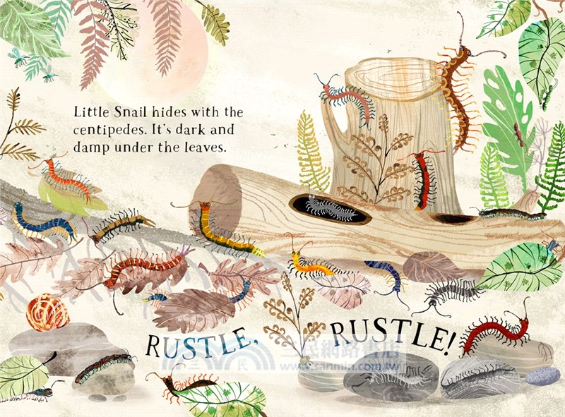 Little Snail's Book of Bugs