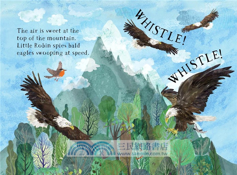 Little Robin's Book of Birds