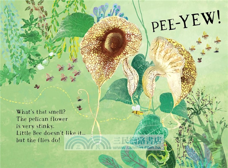 Little Bee's Book of Blooms