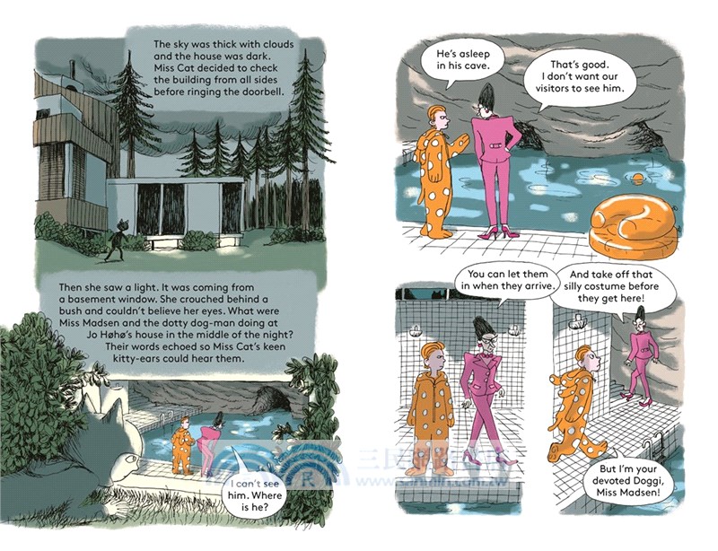 Miss Cat: The Gnome's Nightmare (graphic novel)