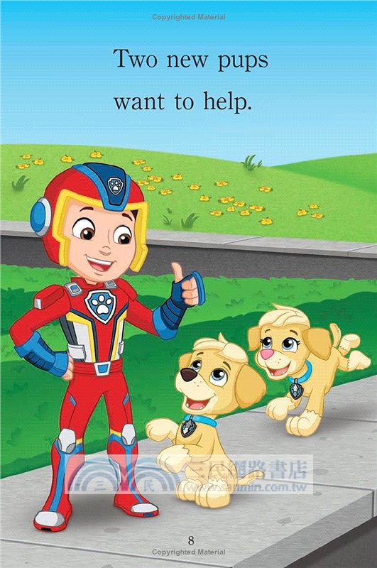 Mighty Twins! Paw Patrol