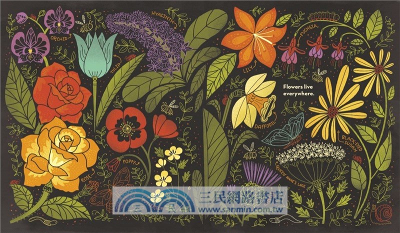 What's Inside A Flower?：And Other Questions About Science and Nature