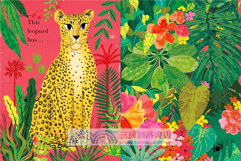 Counting Creatures (美國版)(精裝本)