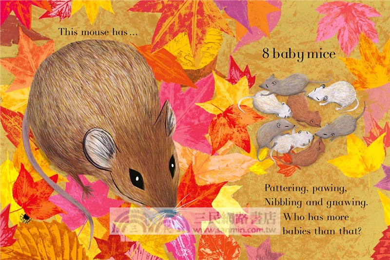 Counting Creatures (美國版)(精裝本)