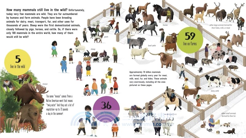 If the World Were 100 Animals: A Visual Guide to Earth's Amazing Creatures