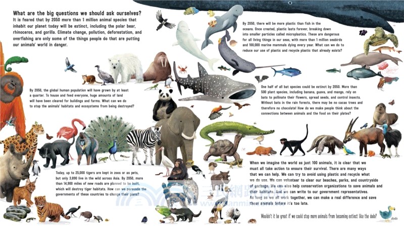 If the World Were 100 Animals: A Visual Guide to Earth's Amazing Creatures
