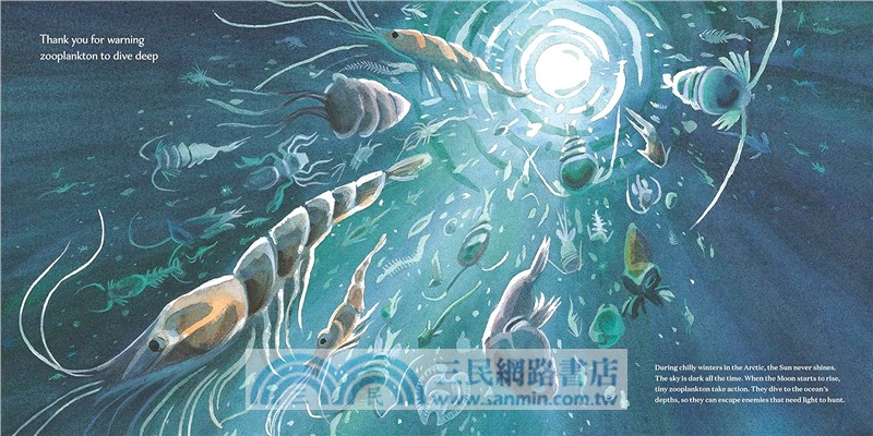 Thank You, Moon: Celebrating Nature's Nightlight