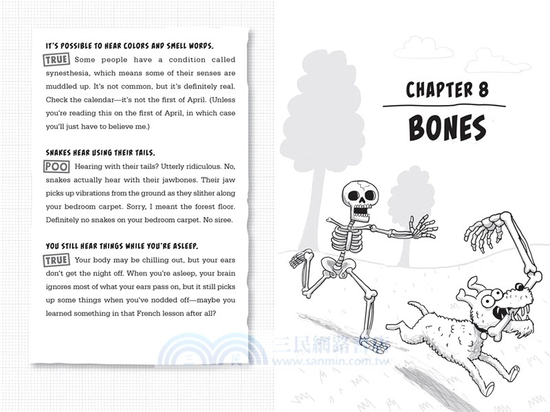 Kay's Anatomy : A Complete (and Completely Disgusting) Guide to the Human Body