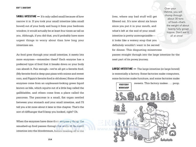 Kay's Anatomy : A Complete (and Completely Disgusting) Guide to the Human Body