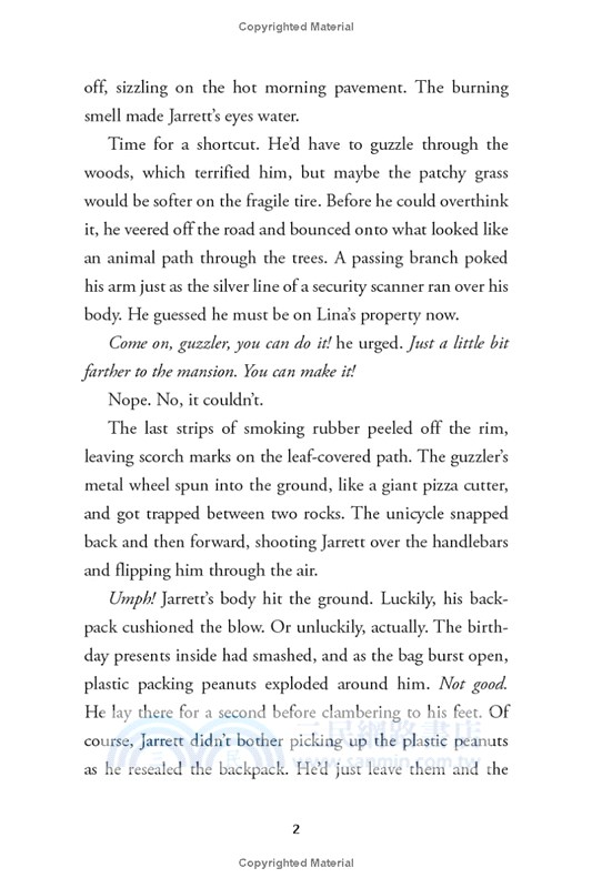 The Race to Erase (The Fifth Hero #1)